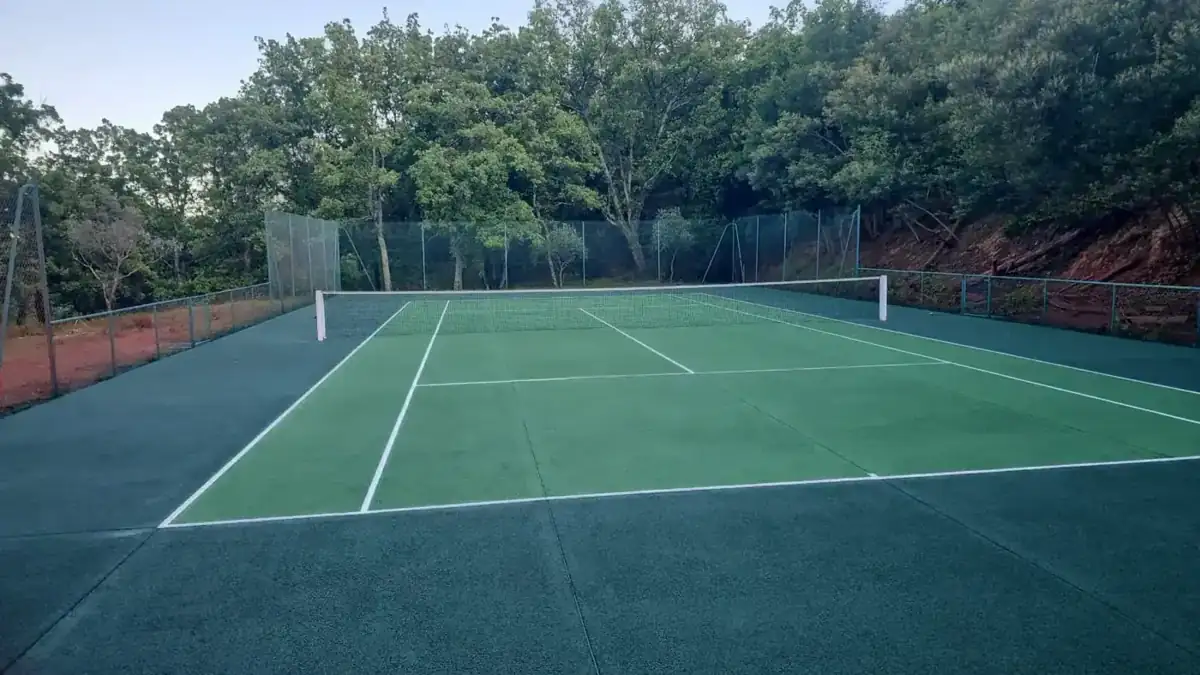 Entretien de court de tennis à Chartres